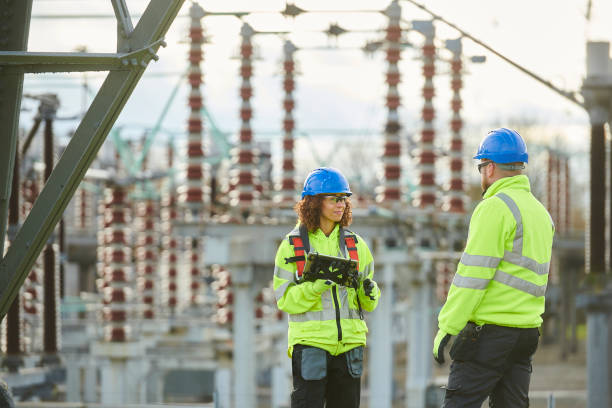 Best Electric Panel Repair  in Granby, MO